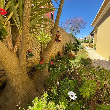 Happy Silva * لاغوس